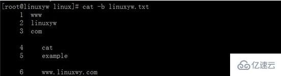 Linux系统cat命令怎么用  linux 第4张