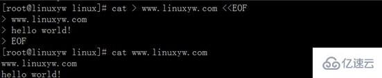 Linux系统cat命令怎么用  linux 第11张