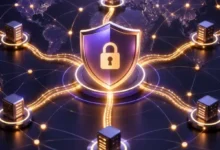 不同加速方案怎么选,游戏与视频场景适合哪种免费加速器?-国外VPS